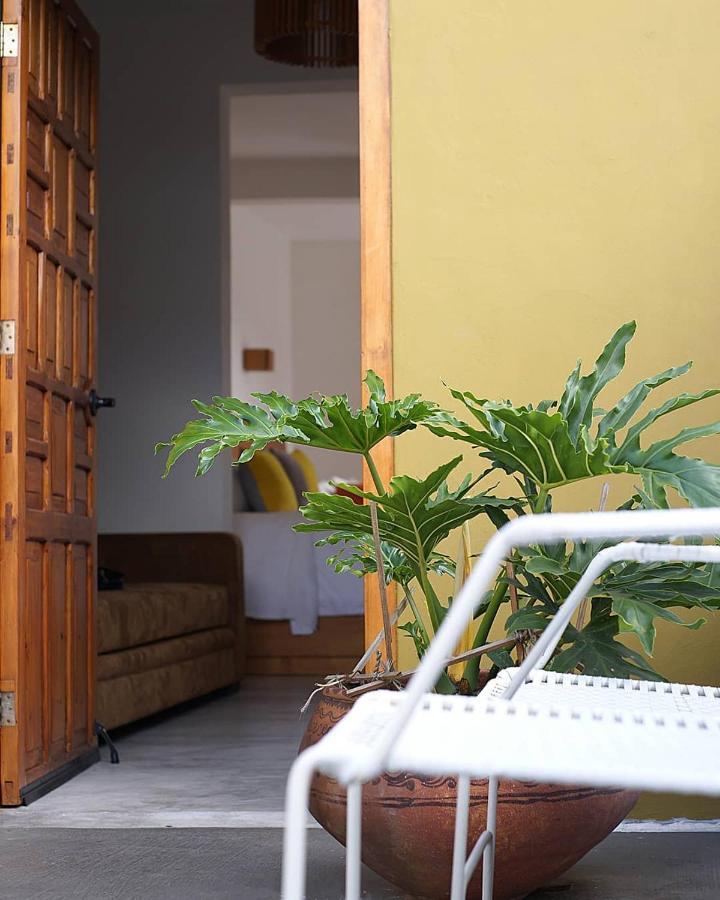 San Cristóbal de Las Casas Casa Cafeologo酒店 外观 照片