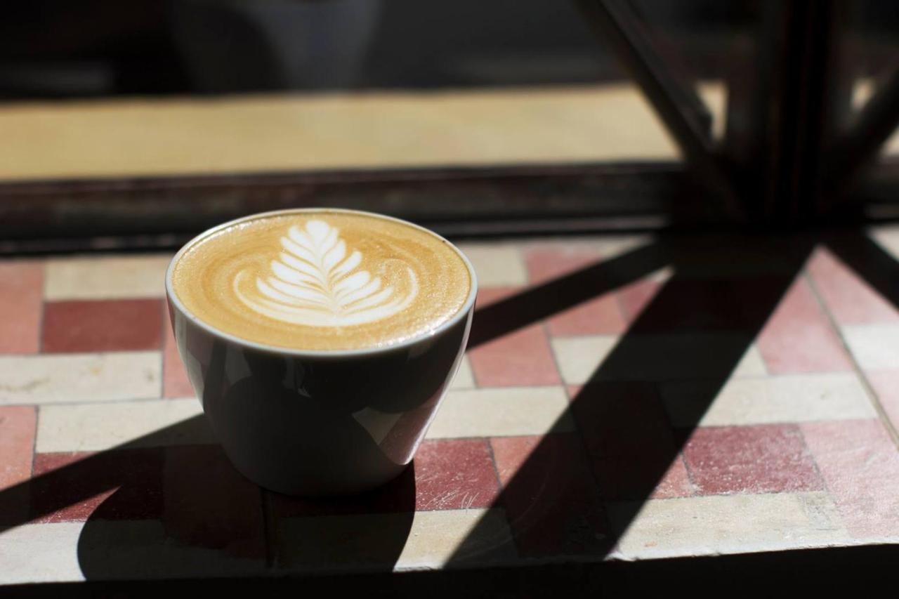 San Cristóbal de Las Casas Casa Cafeologo酒店 外观 照片